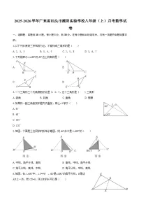 2025-2026学年广东省汕头市潮阳实验学校八年级（上）月考数学试卷-自定义类型