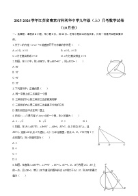 2025-2026学年江苏省南京市科利华中学九年级（上）月考数学试卷（10月份）-自定义类型
