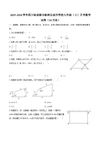 2025-2026学年四川省成都市新津区成外学校九年级（上）月考数学试卷（10月份）-自定义类型