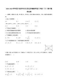 2024-2025学年四川省泸州市江阳区梓橦路学校八年级（下）期中数学试卷-自定义类型 (1)