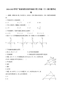 2024-2025学年广东省东莞市东华初级中学八年级（下）期中数学试卷-自定义类型