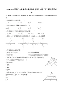 2024-2025学年广东省东莞市东华初级中学八年级（下）期中数学试卷-自定义类型