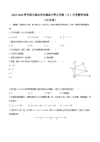 2025-2026学年四川省达州市渠县中学九年级（上）月考数学试卷（10月份）-自定义类型