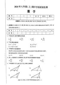 湖南省邵阳市新邵县2024-2025学年八年级上学期11月期中考试数学试题