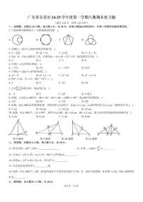 2024-2025学年广东省东莞市八年级上学期期末考试数学试卷（含答案）