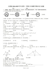 2024-2025学年广东省东莞市翰林实验中学八年级上学期期末考试数学试卷三（含答案）