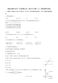 2024-2025学年广东省佛山市三水区八年级上学期期末考试数学试卷（含答案）