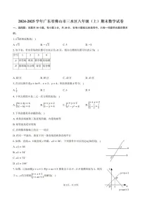 2024-2025学年广东省佛山市三水区八年级上学期期末考试数学试卷（含答案）
