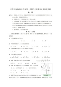 2024-2025学年广东省深圳市龙岗区八年级上学期期末考试数学试卷（含答案）
