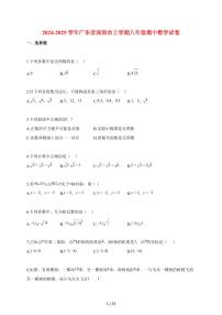 2024_2025学年广东省深圳市上册八年级期中数学试卷【含解析】