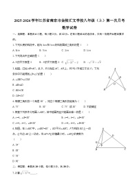 2025-2026学年江苏省南京市金陵汇文学校八年级（上）第一次月考数学试卷-自定义类型