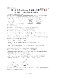 2025年哈尔滨市113中学八年级上学期数学期中试卷及答案