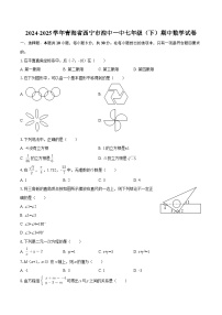2024-2025学年青海省西宁市湟中一中七年级（下）期中数学试卷-自定义类型