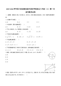 2025-2026学年四川省成都实验外国语学校西区八年级（上）第一次段考数学试卷-自定义类型