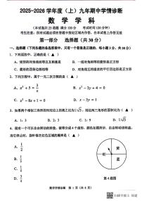 辽宁省沈阳市大东区2025-2026学年九年级上学期数学11月期中试题（无答案）