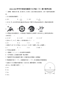 2024-2025学年甘肃省张掖四中九年级（下）期中数学试卷-自定义类型