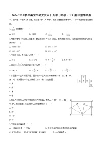 2024-2025学年黑龙江省大庆六十九中七年级（下）期中数学试卷-自定义类型