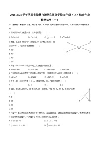 2025-2026学年陕西省榆林市清涧县部分学校九年级（上）综合作业数学试卷（一）-自定义类型