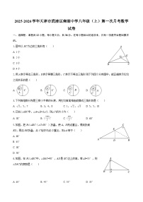 2025-2026学年天津市武清区南湖中学八年级（上）第一次月考数学试卷-自定义类型