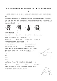 2025-2026学年重庆市育才中学八年级（上）第三次自主作业数学试卷-自定义类型