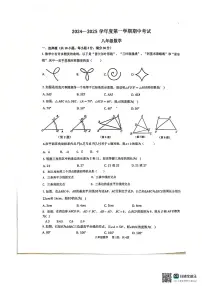 广东省汕头市潮阳实验学校2024-2025学年八年级数学上学期期中考试卷