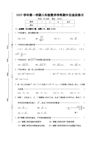 上海市普陀区2025-2026学年八年级上学期数学期中考试试卷+