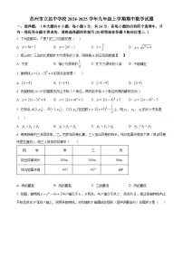 苏州市立达中学校2024-2025学年九年级上学期期中数学试题（含解析）