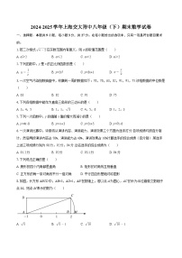 2024-2025学年上海交大附中八年级（下）期末数学试卷-自定义类型