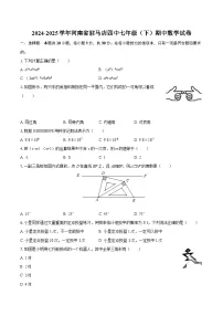 2024-2025学年河南省驻马店四中七年级（下）期中数学试卷-自定义类型