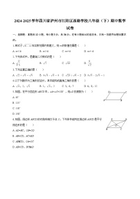 2024-2025学年四川省泸州市江阳区西路学校八年级（下）期中数学试卷-自定义类型