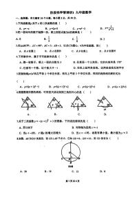浙江省杭州市第五中学2025-2026学年九年级上学期11月月考数学试题