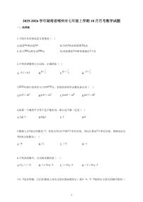 2025-2026学年湖南省郴州市七年级上册10月月考数学试卷（含解析）