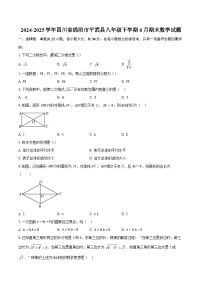 2024-2025学年四川省绵阳市平武县八年级下学期6月期末数学试题-自定义类型
