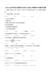 2025-2026学年四川省绵阳市安州区七年级上学期期中考试数学试题-自定义类型