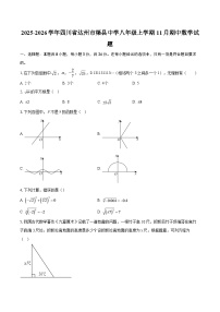 2025-2026学年四川省达州市渠县中学八年级上学期11月期中数学试题-自定义类型