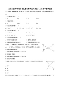 2025-2026学年吉林省长春市南关区八年级（上）期中数学试卷-自定义类型
