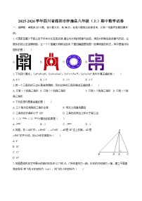 2025-2026学年四川省绵阳市梓潼县八年级（上）期中数学试卷-自定义类型