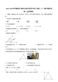 2025-2026学年黑龙江省哈尔滨市松雷中学八年级（上）期中数学试卷（五四学制）-自定义类型