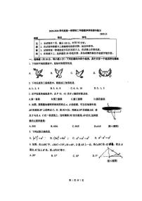 2025北京理工大附中初二（上）期中数学试卷   无答案