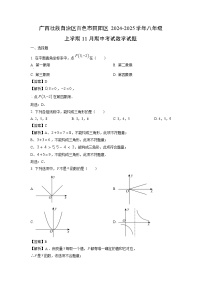 2024~2025学年广西壮族自治区百色市田阳区八年级（上）11月期中考试数学试题（解析版）