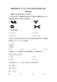 2025~2026学年湖南省株洲市九年级（上）期中考试数学试题（学生版）