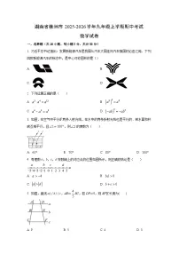 2025~2026学年湖南省株洲市九年级（上）期中考试数学试题（学生版）