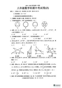 广东省汕头市潮阳区2025-2026学年八年级上学期期中检测数学试卷（Z)