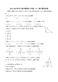 2025-2026学年上海市普陀区九年级（上）期中数学试卷-自定义类型