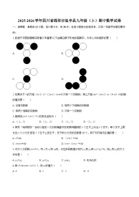 2025-2026学年四川省绵阳市盐亭县九年级（上）期中数学试卷-自定义类型