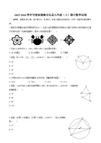 2025-2026学年甘肃省陇南市礼县九年级（上）期中数学试卷-自定义类型