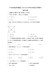 2024~2025学年广东省清远市清新区九年级（上）期中考试数学试题（学生版）