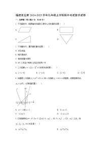 2024~2025学年福建省龙岩九年级（上）期中考试数学试题（学生版）