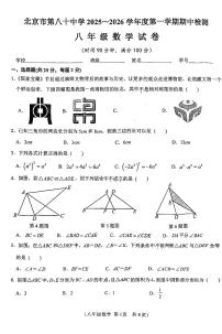 2025北京八十中初二（上）期中数学试卷