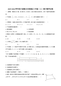 2025-2026学年四川省雅安市雨城区八年级（上）期中数学试卷-自定义类型
